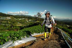 BIB: 
                            <button type="button" onclick="openModal(19123262)" class="btn btn-primary btn-sm float-right btn-popup" data-toggle="modal" data-target=".modal-high-quality">
                        <i class="fas fa-shopping-cart"></i> Add to Cart
                    </button>
                                            <button type="button" onclick="isThisMe(19123262, true)" class="btn btn-success btn-sm float-right btn-popup btn-isme hidden" data-toggle="tooltip" data-placement="bottom" title="นี่คือรูปของคุณใช่ไหม คลิกที่นี่เพื่อเอาเข้าอัลบั้ม">
                        <i class="fas fa-plus"></i> Add to album
                    </button>
                    <button type="button" onclick="isThisMe(19123262, false)" class="btn btn-warning btn-sm float-right btn-popup btn-isnotme hidden">
                        <i class="fas fa-ban"></i> Remove from album
                    </button>